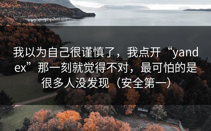 我以为自己很谨慎了，我点开“yandex”那一刻就觉得不对，最可怕的是很多人没发现（安全第一）