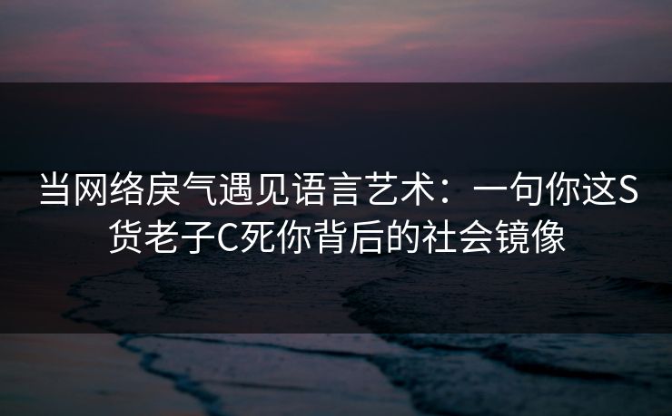 当网络戾气遇见语言艺术：一句你这S货老子C死你背后的社会镜像