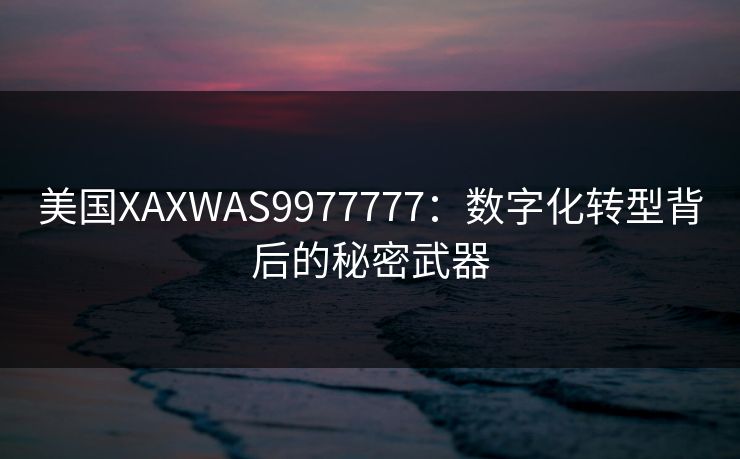 美国XAXWAS9977777：数字化转型背后的秘密武器