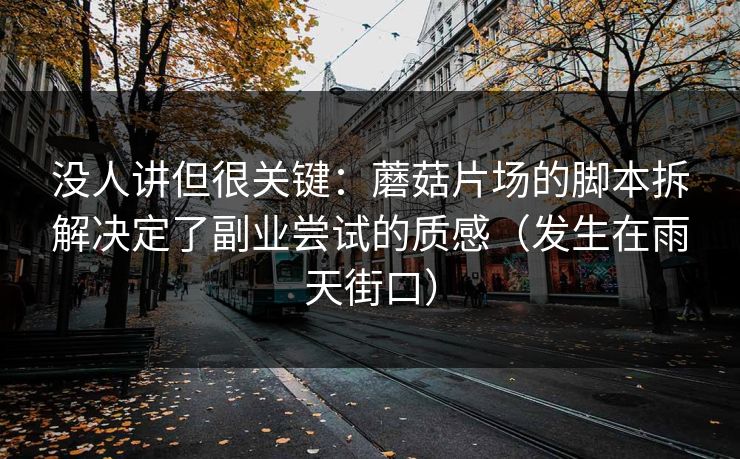 没人讲但很关键：蘑菇片场的脚本拆解决定了副业尝试的质感（发生在雨天街口）