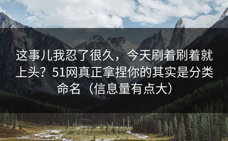 这事儿我忍了很久，今天刷着刷着就上头？51网真正拿捏你的其实是分类命名（信息量有点大）