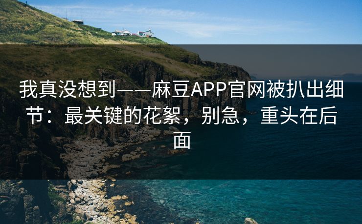 我真没想到——麻豆APP官网被扒出细节：最关键的花絮，别急，重头在后面